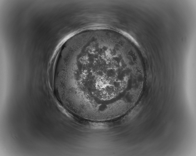 X0000087571413200704271239