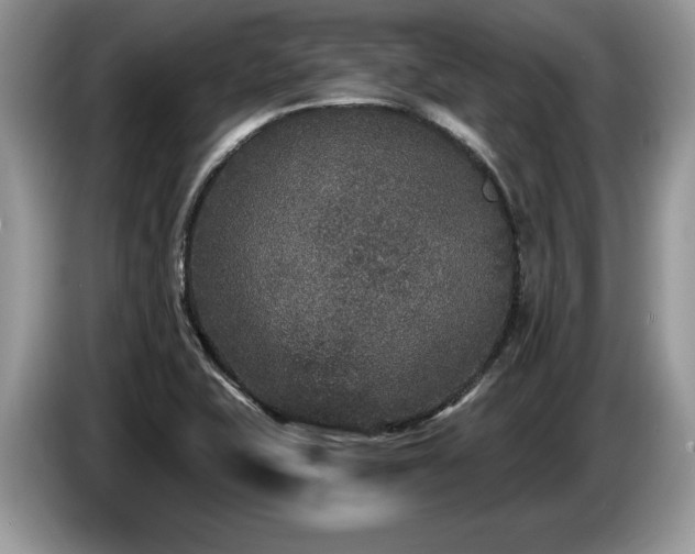 X0000087571415200704271239