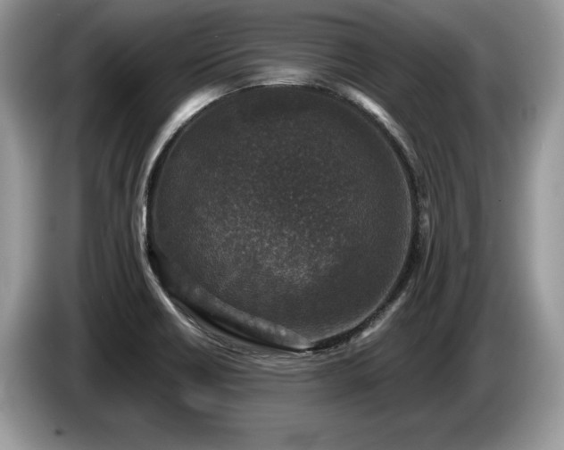 X0000087571418200704271239