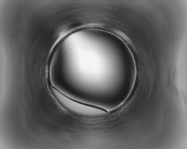 X0000087571420200704271239