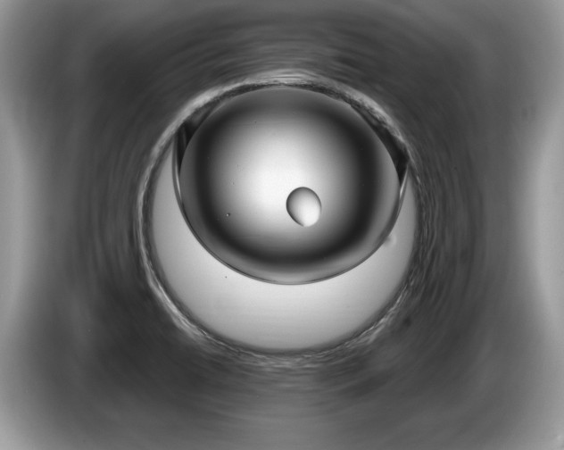 X0000087571422200704271239