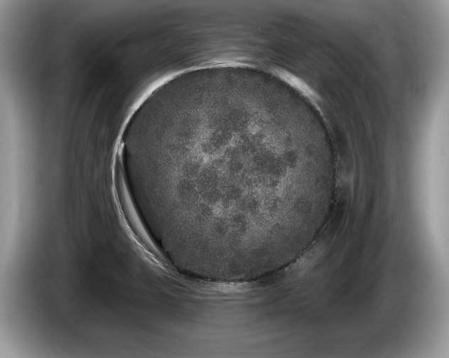 X0000087571423200704271239