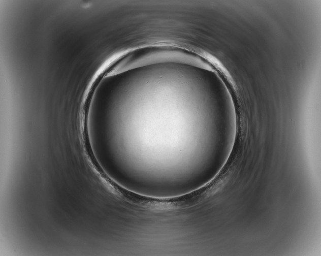 X0000087571424200704271239