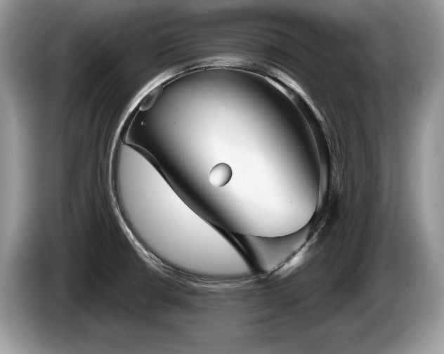 X0000087571426200704271239