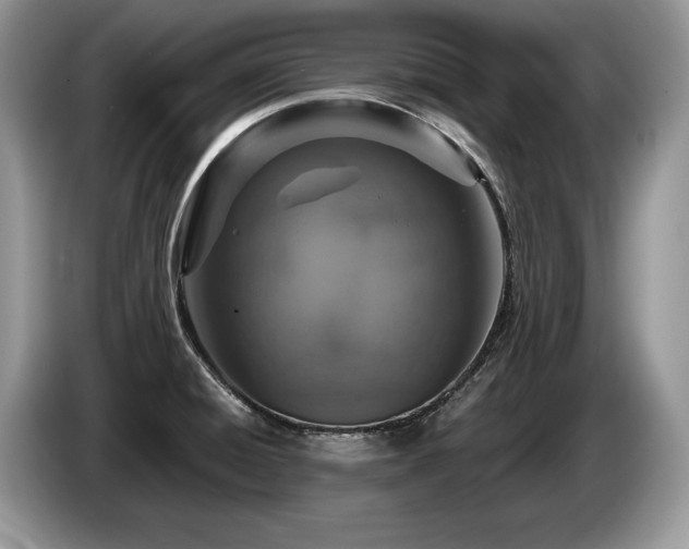 X0000087571428200704271239