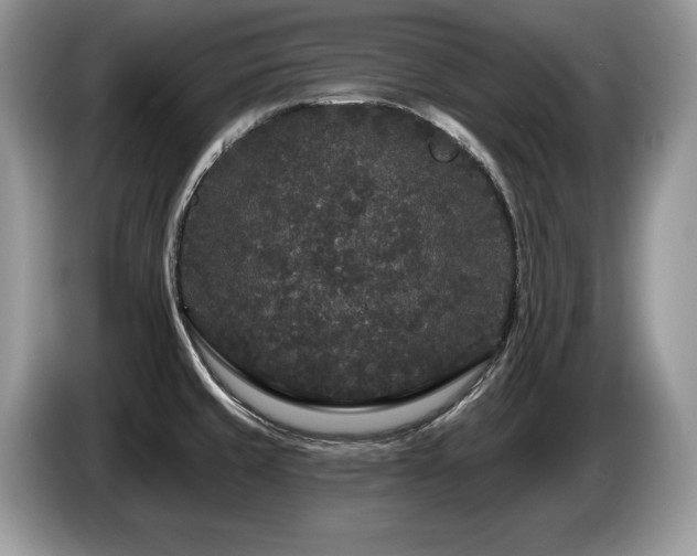 X0000087571429200704271239