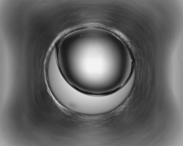 X0000087571430200704271239