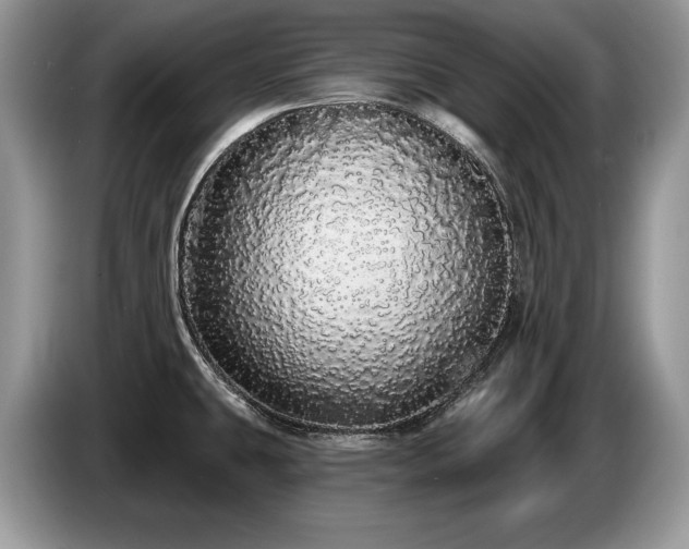 X0000087571431200704271239