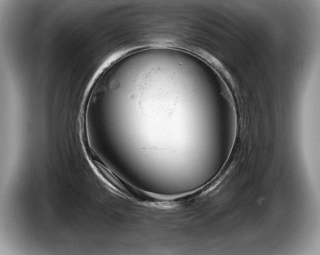 X0000087571432200704271239