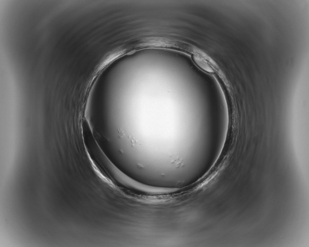 X0000087571433200704271239