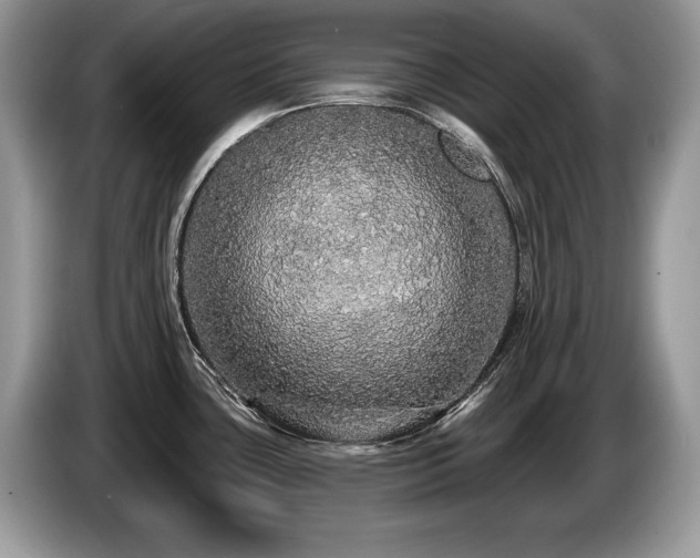 X0000087571435200704271239