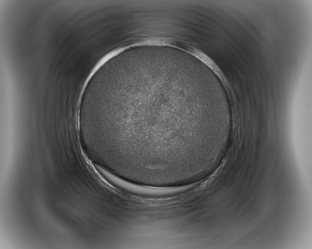 X0000087571436200704271239
