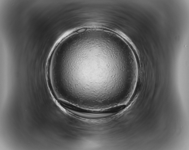 X0000087571437200704271239