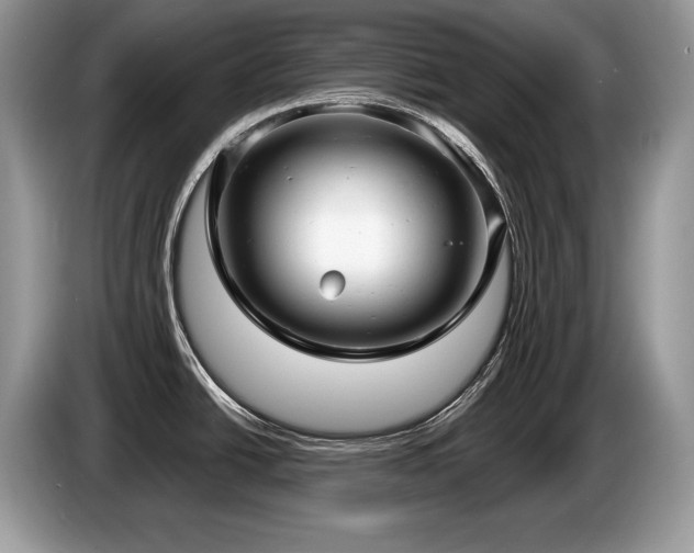 X0000087571438200704271239