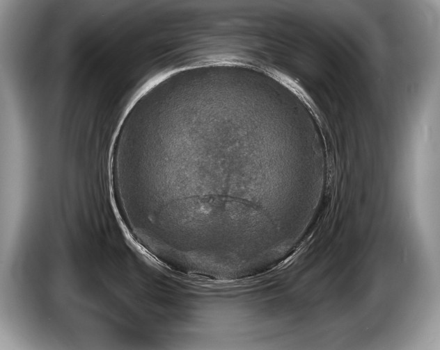 X0000087571439200704271239