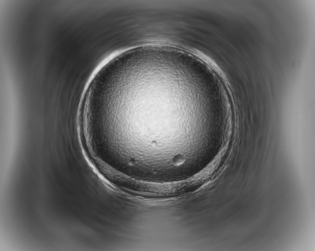 X0000087571440200704271239