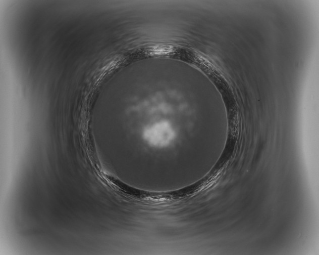 X0000087571441200704271239