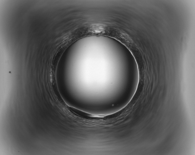 X0000087571442200704271239