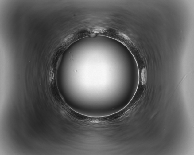 X0000087571443200704271239