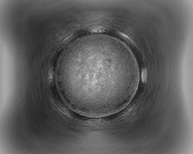 X0000087571444200704271239