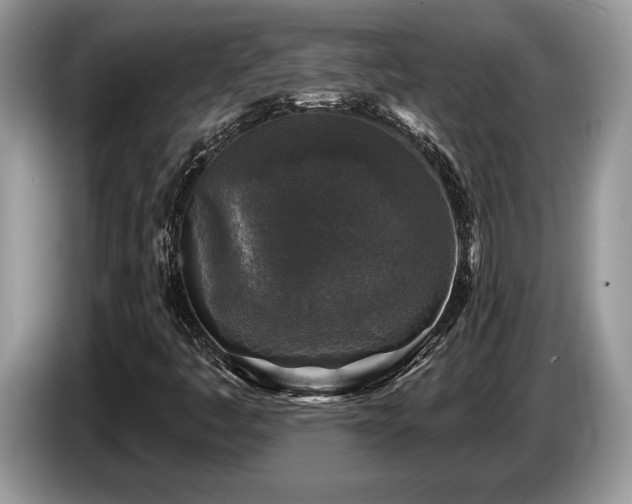 X0000087571445200704271239