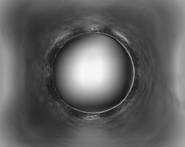 X0000087571447200704271239