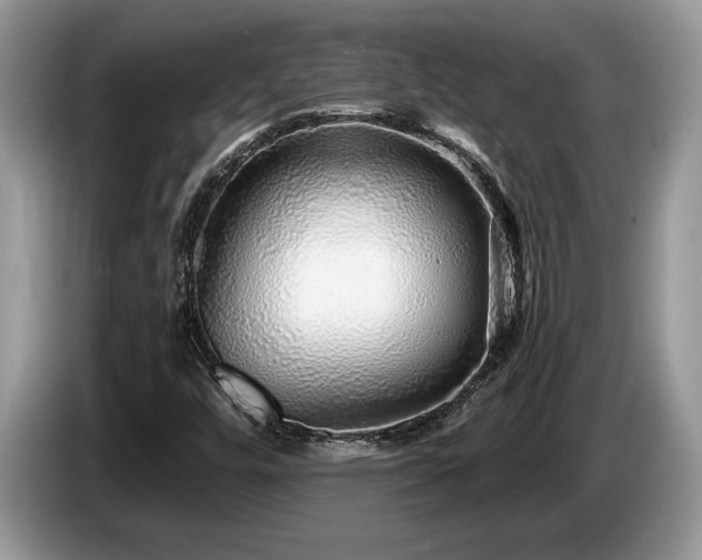 X0000087571448200704271239