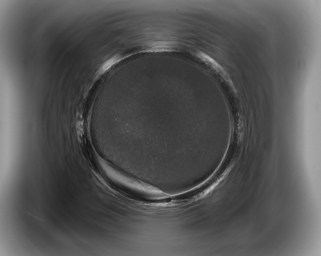 X0000087571449200704271239