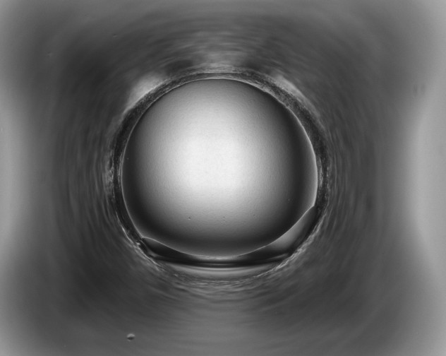 X0000087571450200704271239