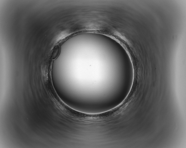 X0000087571451200704271239