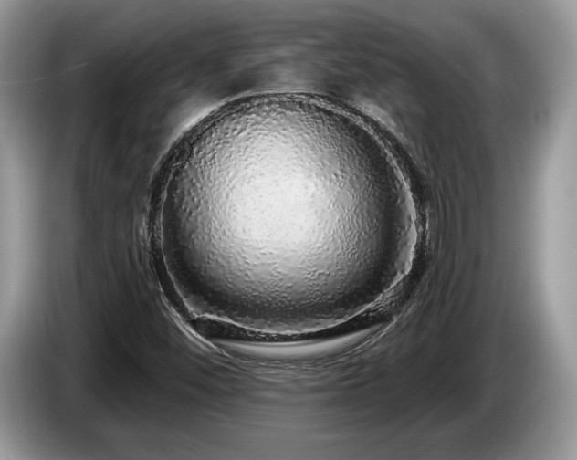 X0000087571452200704271239