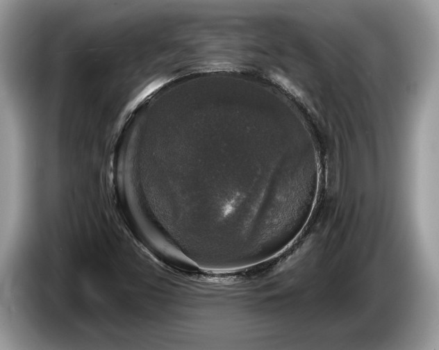 X0000087571453200704271239