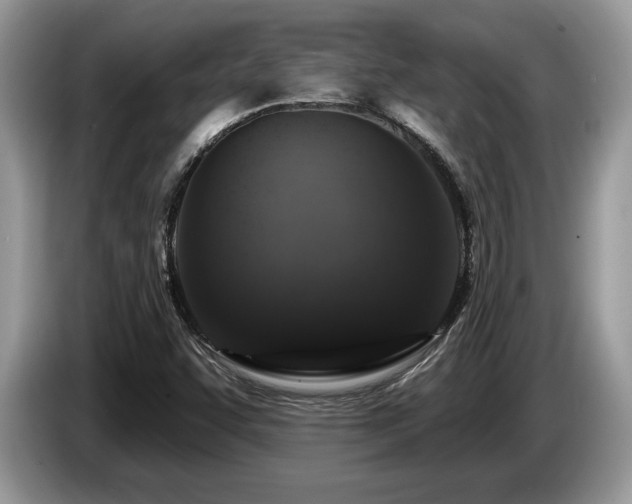 X0000087571455200704271239