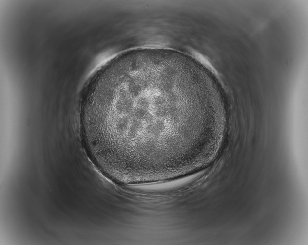 X0000087571456200704271238