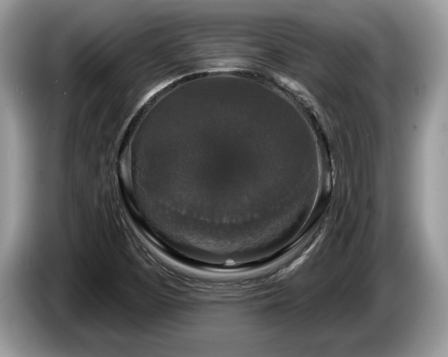 X0000087571457200704271238