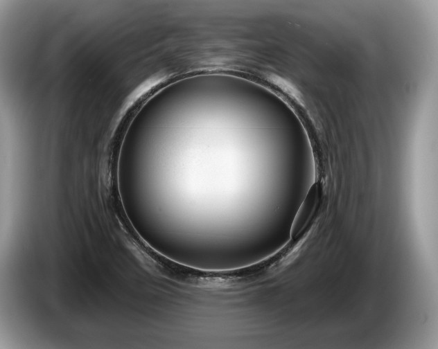 X0000087571458200704271238