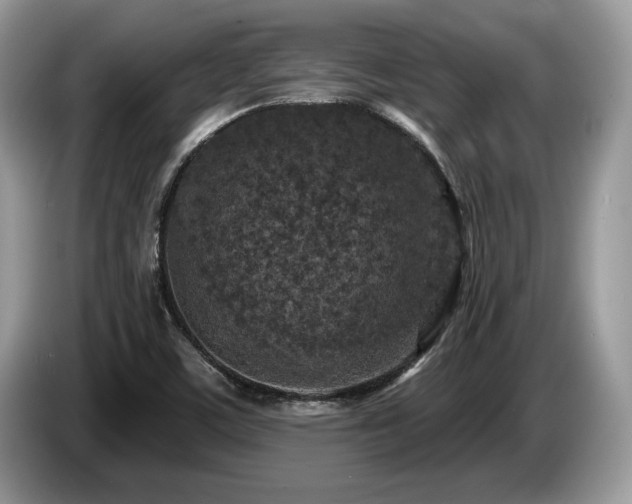 X0000087571459200704271238