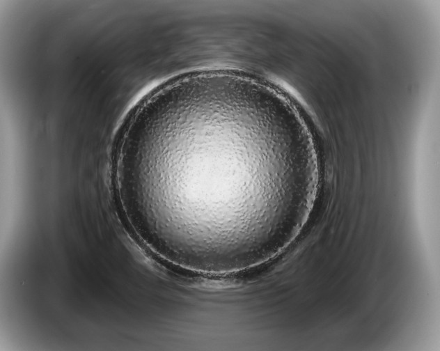 X0000087571460200704271238