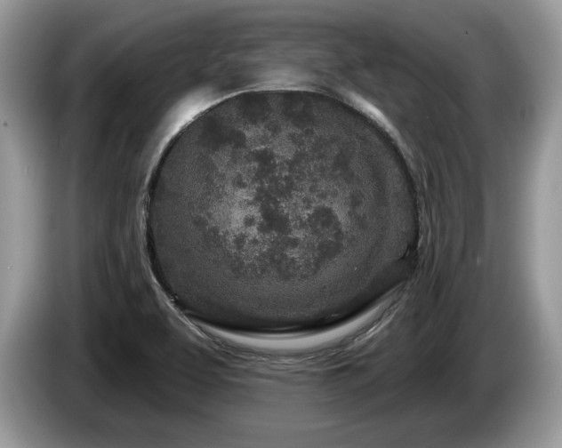 X0000087571463200704271238