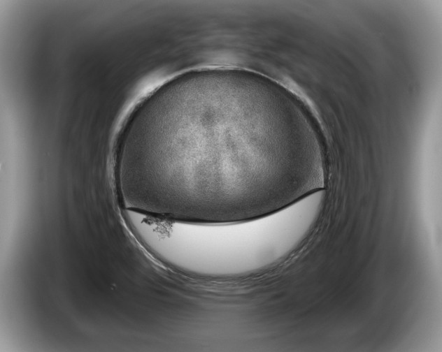 X0000087571464200704271238