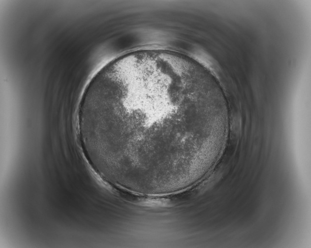 X0000087571466200704271238