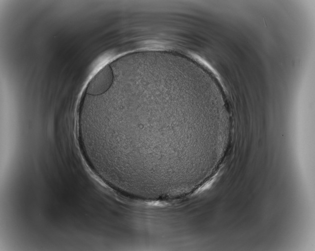 X0000087571467200704271238