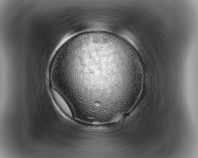 X0000087571468200704271238