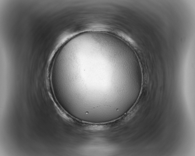 X0000087571470200704271238