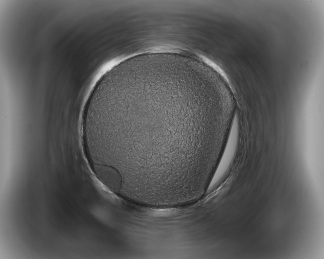 X0000087571471200704271238