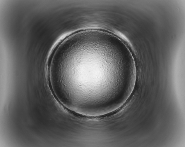X0000087571472200704271238