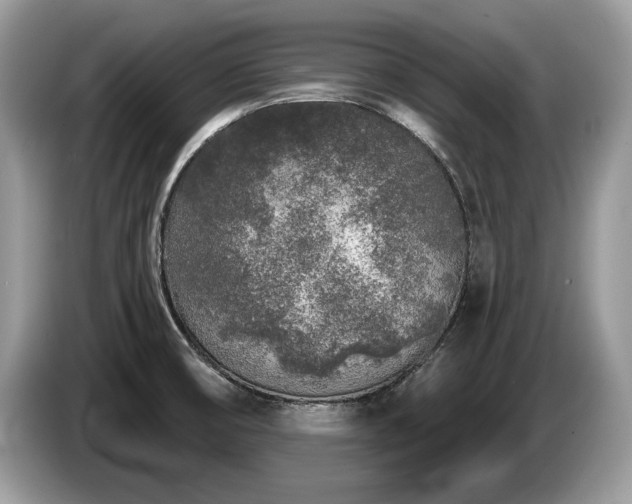 X0000087571474200704271238