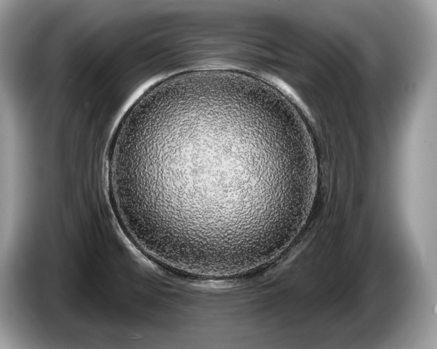 X0000087571476200704271238