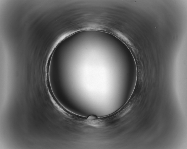 X0000087571479200704271238