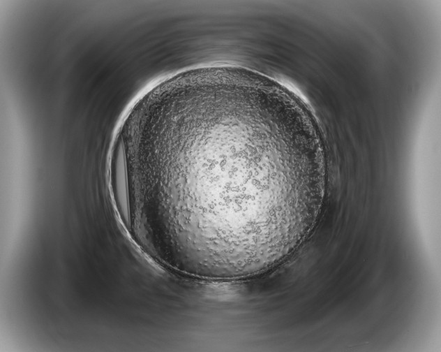X0000087571480200704271238